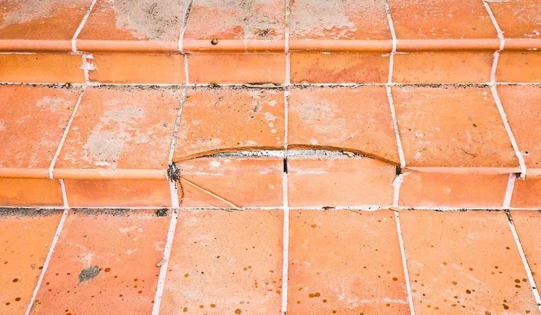Kada jūsų advokatai atstovauja ne jūsų interesams – Paulos istorija