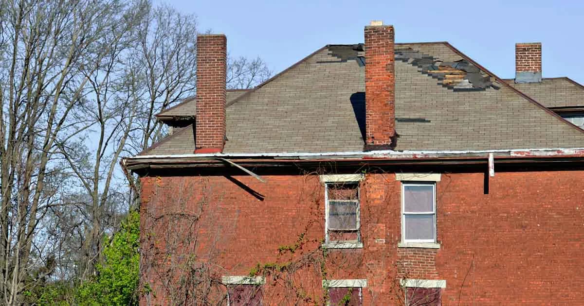 Abandoned House Bonanza for Grandchildren